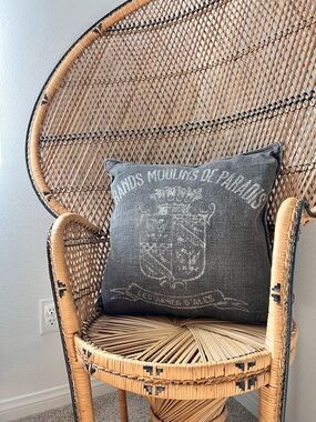 Restoration Hardware RH Gray Paris Printed Throw Pillow Down Insert 22” x 21”